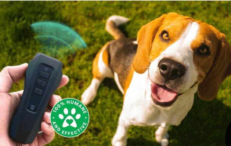 Barxbuddy Reviews Worth Buying Anti Barking Device Is This