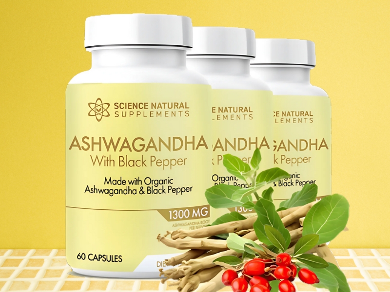 Best Ashwagandha Supplement Review Science Natural Supplements Ashwagandha with Black Pepper Extract