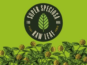Best Kratom Gummies Reviewed Most Trusted Brand Super Speciosa Examined