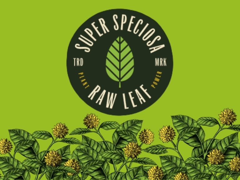 Best Kratom Gummies Reviewed Most Trusted Brand Super Speciosa Examined
