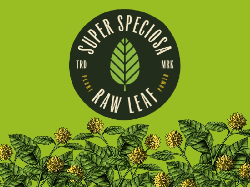 Best Kratom Gummies Reviewed Most Trusted Brand Super Speciosa Examined